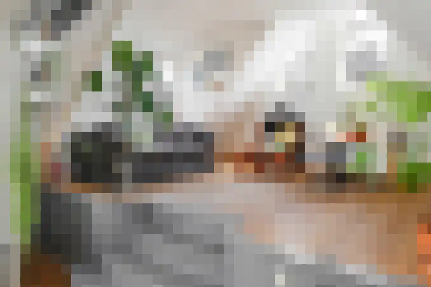 Postelstraat 23 E 's-Hertogenbosch thumbnail 5