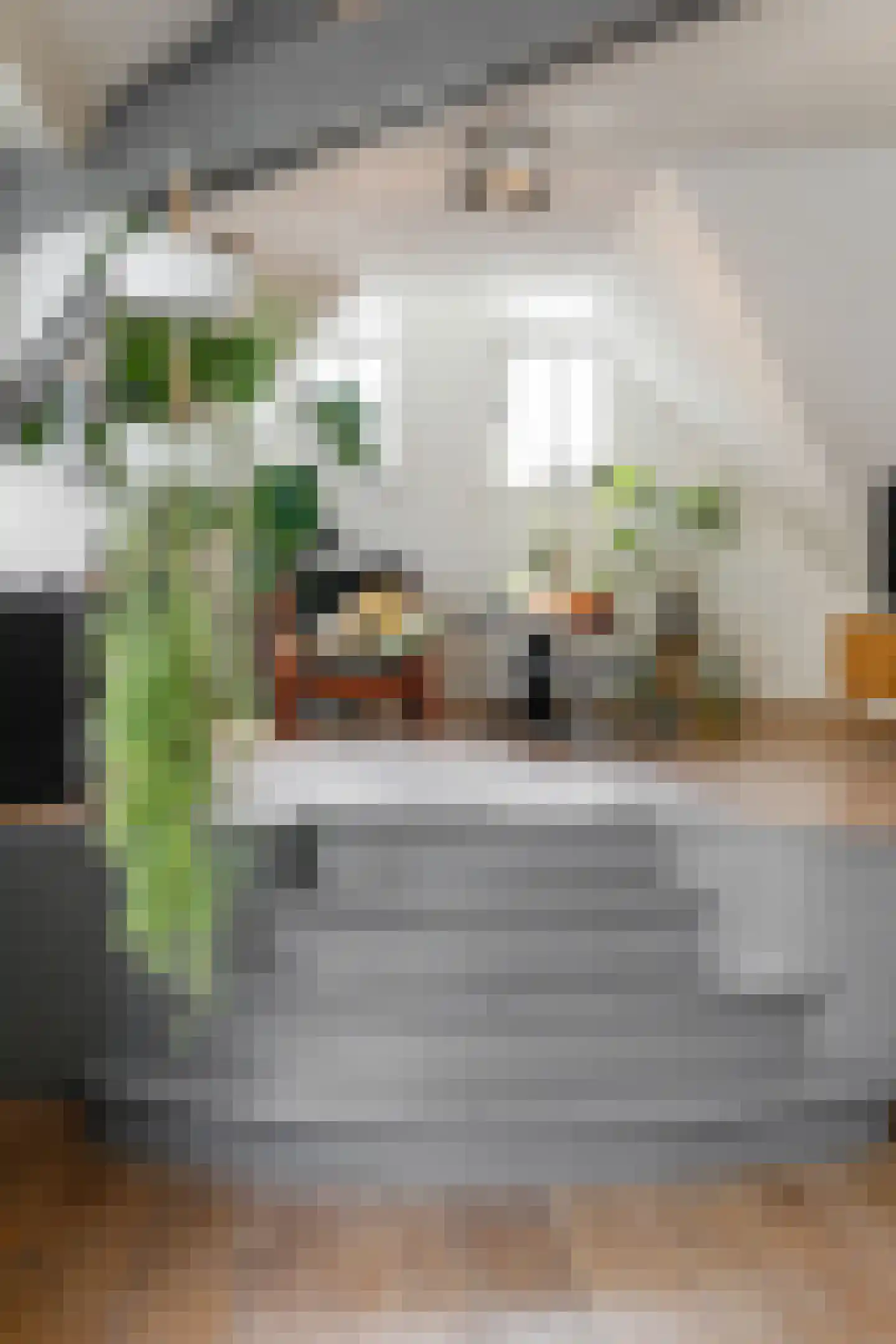 Postelstraat 23 E 's-Hertogenbosch thumbnail 6