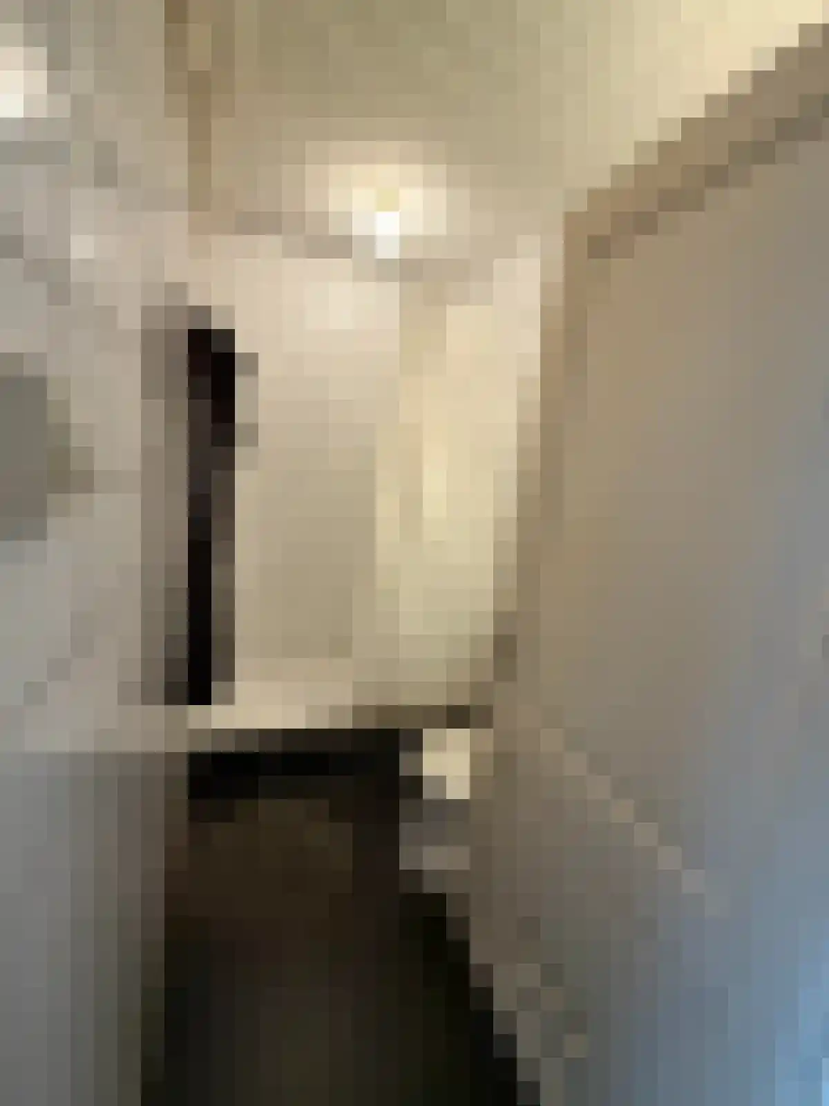 Postelstraat 3 's-Hertogenbosch thumbnail 6
