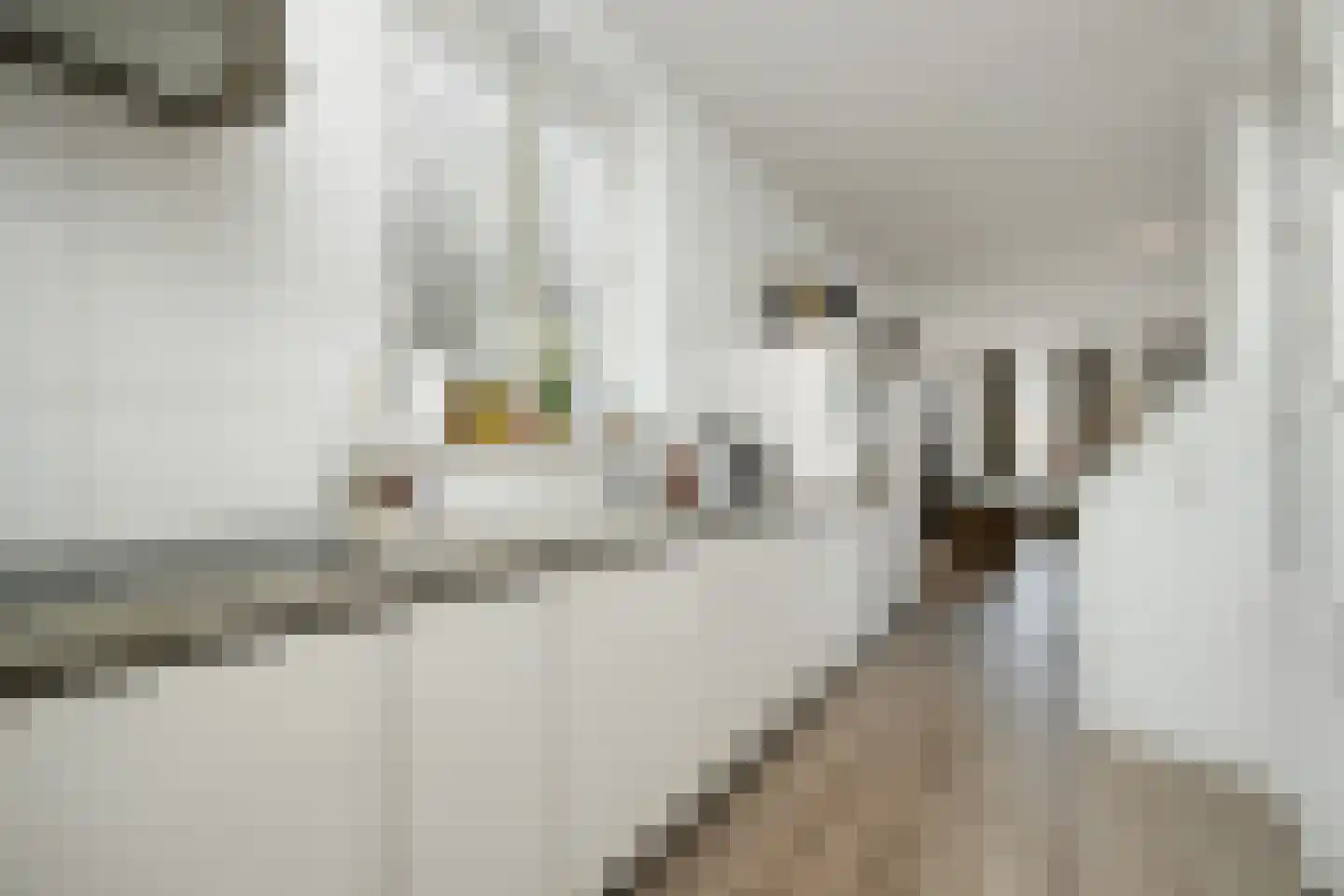 Postelstraat 32 A 's-Hertogenbosch thumbnail 13
