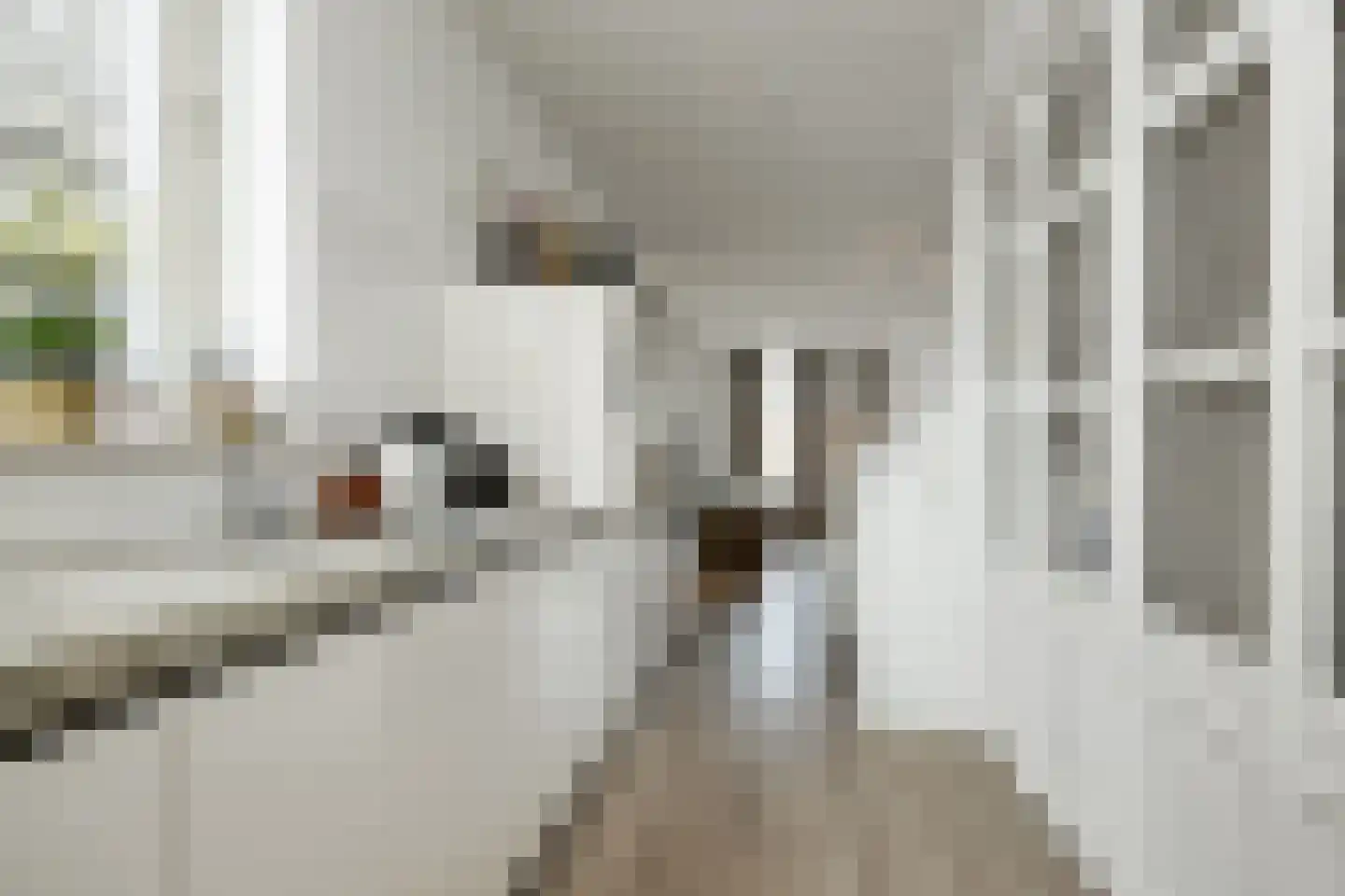 Postelstraat 32 A 's-Hertogenbosch thumbnail 15