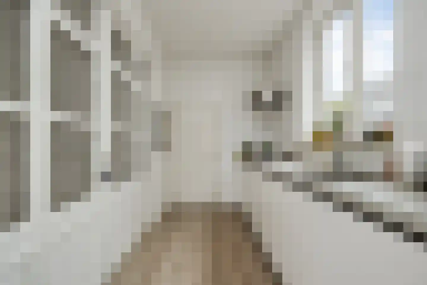 Postelstraat 32 A 's-Hertogenbosch thumbnail 16
