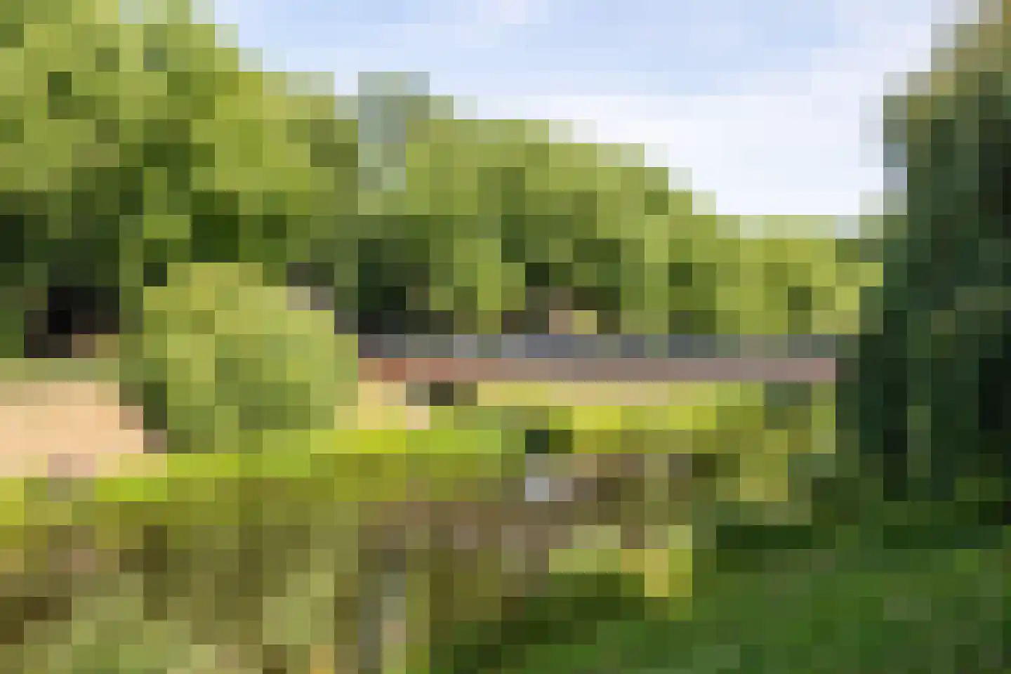 Postelstraat 32 A 's-Hertogenbosch thumbnail 38