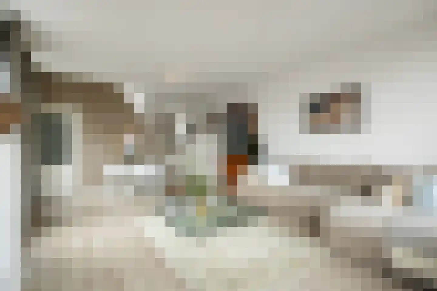 Postelstraat 32 A 's-Hertogenbosch thumbnail 9