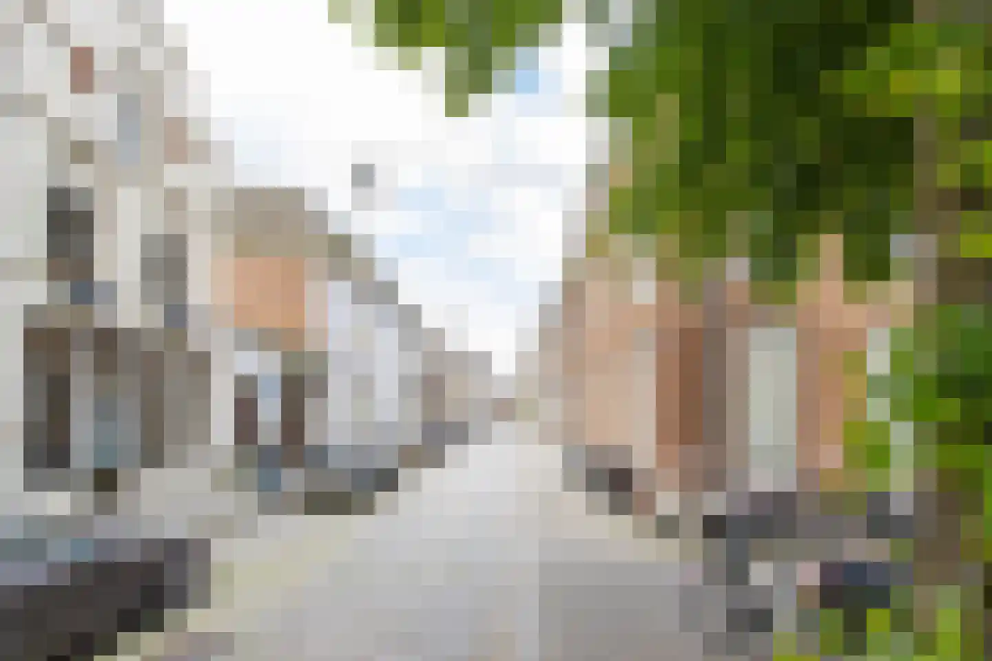 Postelstraat 41 A 's-Hertogenbosch thumbnail 23
