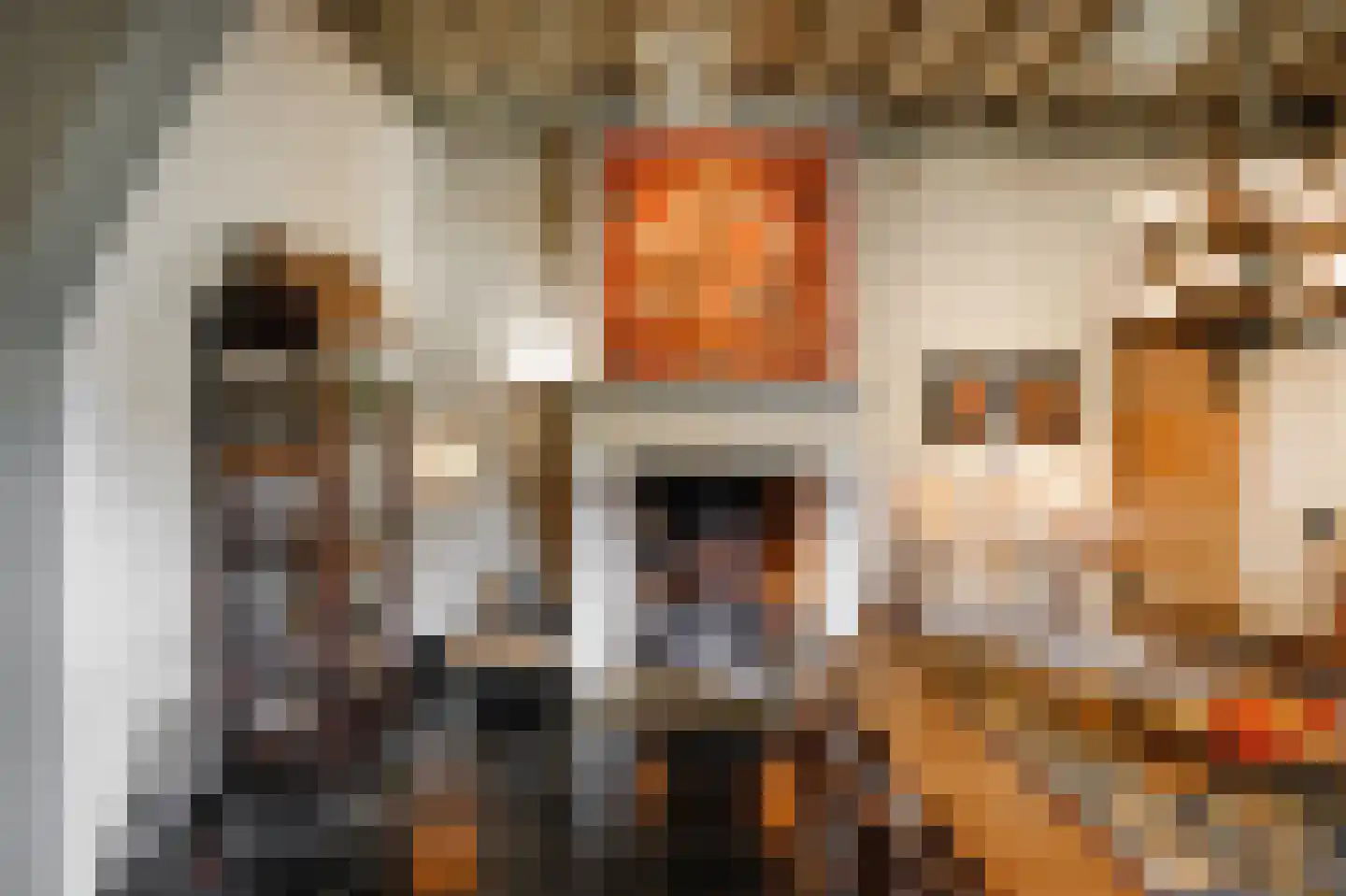 Postelstraat 46 's-Hertogenbosch thumbnail 14