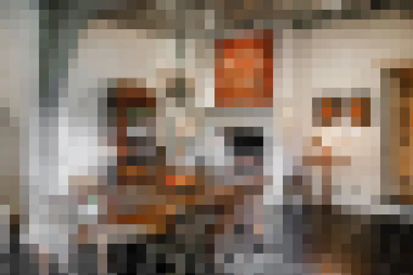 Postelstraat 46 's-Hertogenbosch thumbnail 15