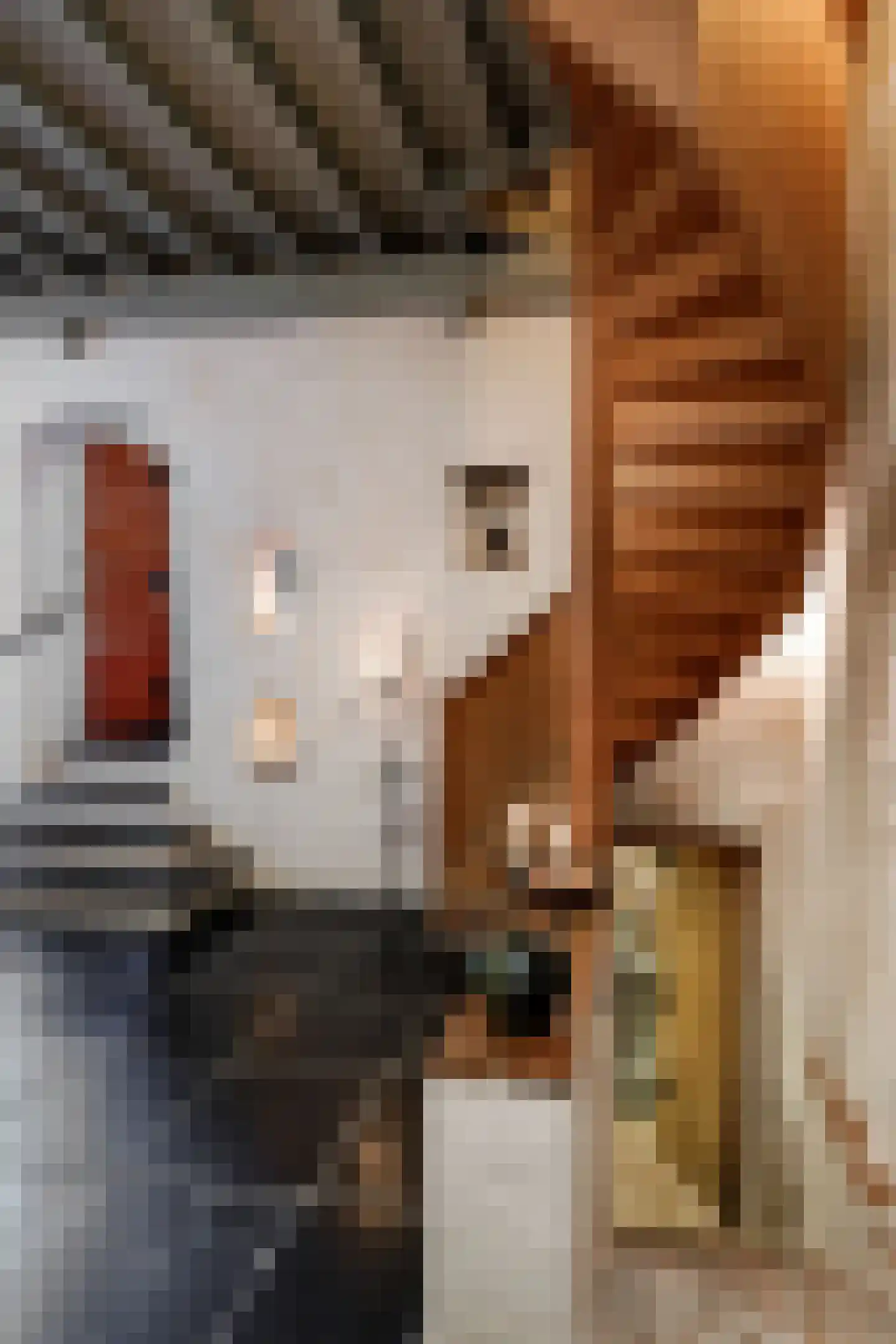 Postelstraat 46 's-Hertogenbosch thumbnail 26