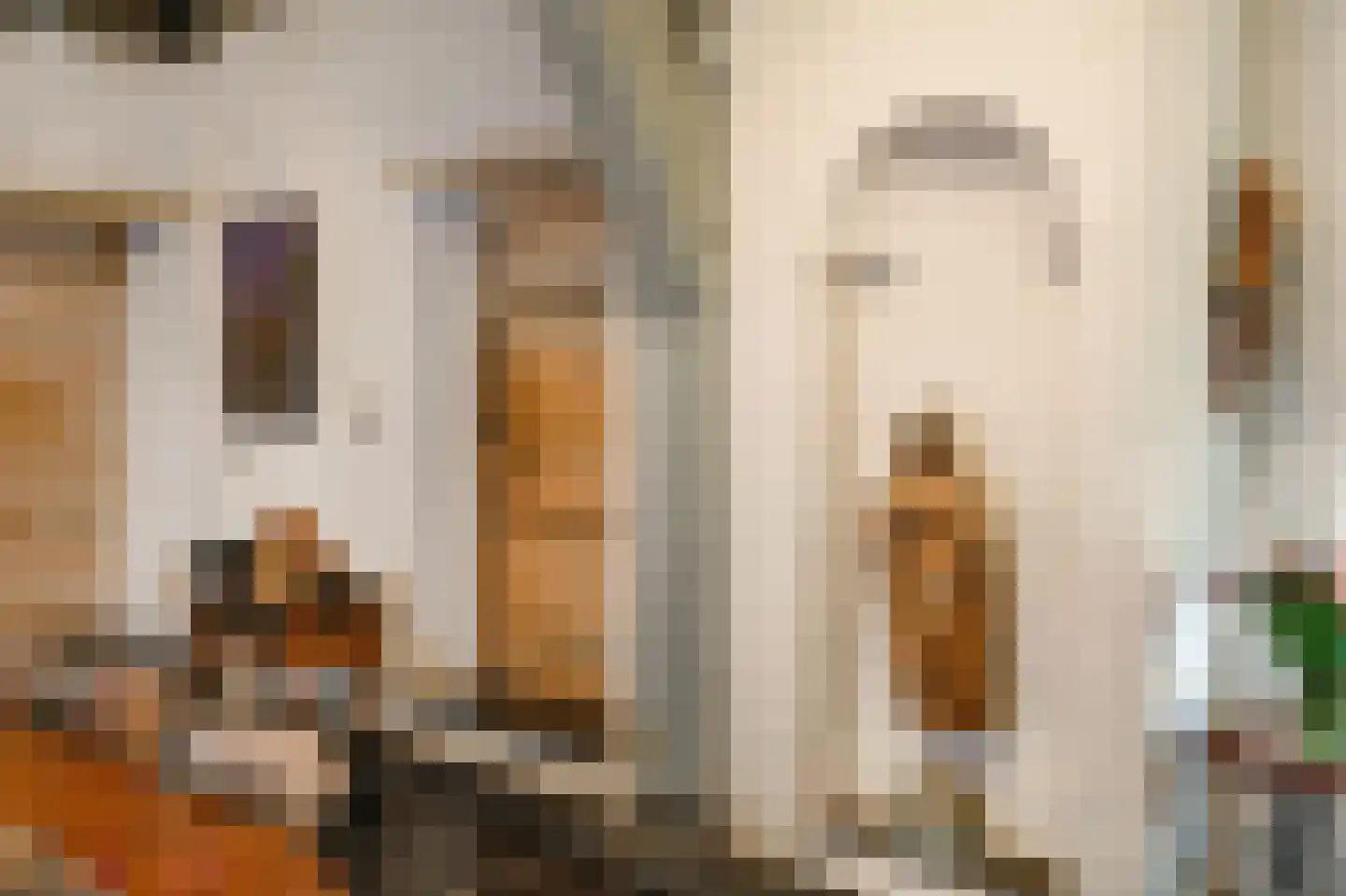 Postelstraat 46 's-Hertogenbosch thumbnail 28
