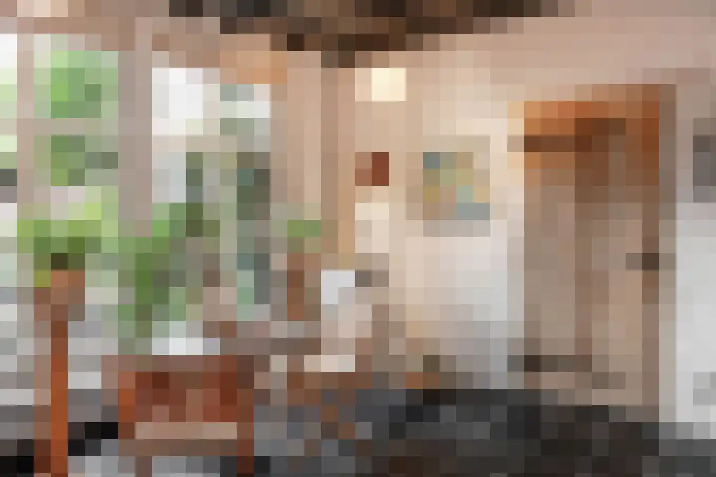 Postelstraat 46 's-Hertogenbosch thumbnail 30
