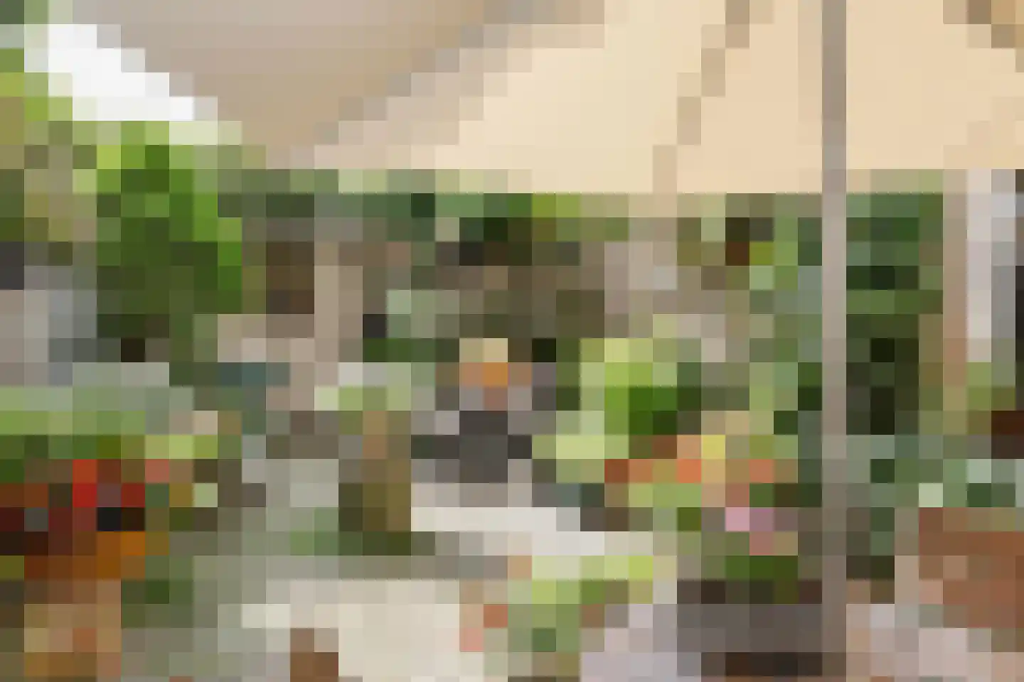 Postelstraat 46 's-Hertogenbosch thumbnail 38