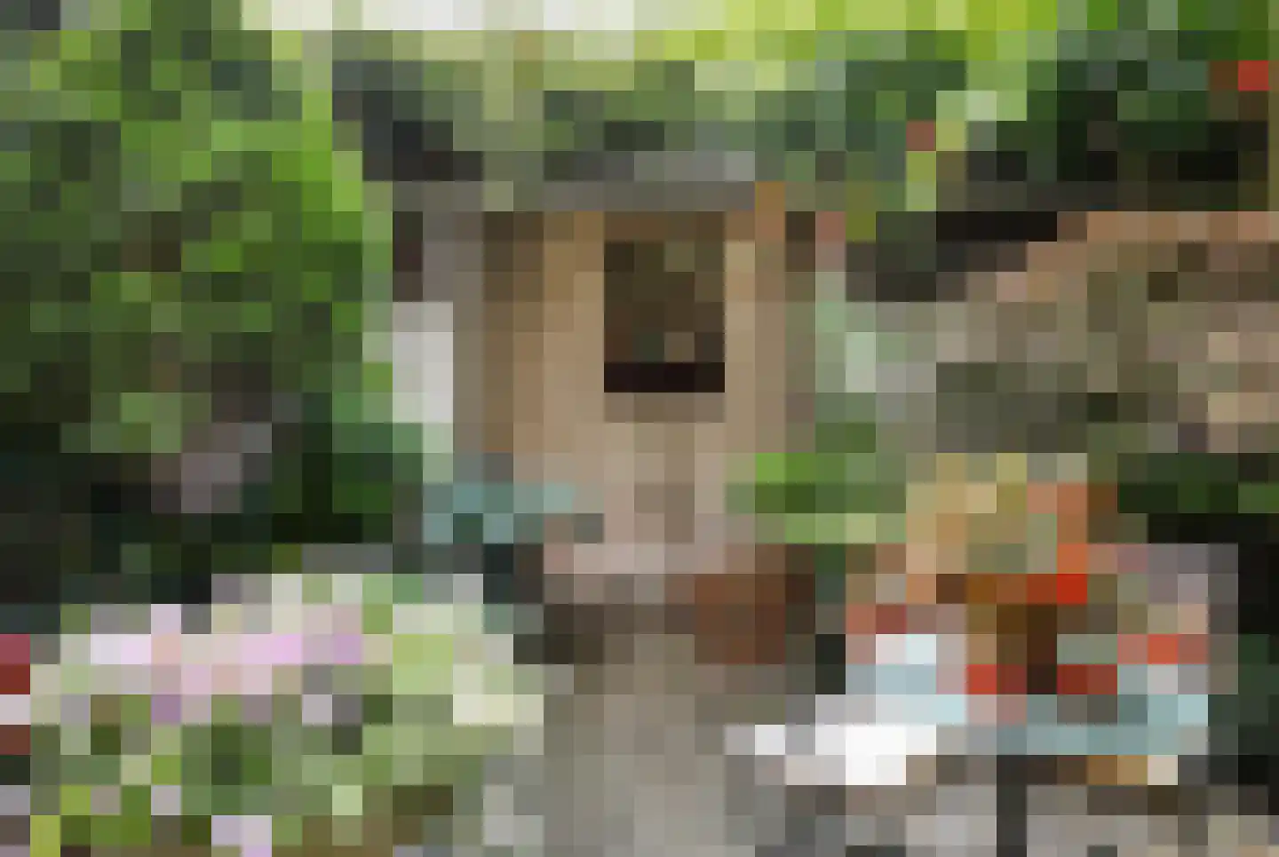 Postelstraat 46 's-Hertogenbosch thumbnail 39