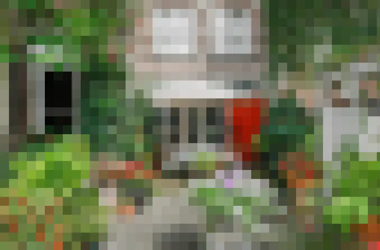 Postelstraat 46 's-Hertogenbosch thumbnail 5