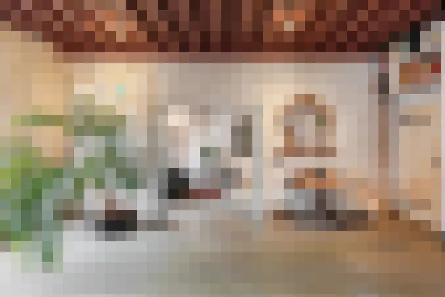 Postelstraat 46 's-Hertogenbosch thumbnail 51