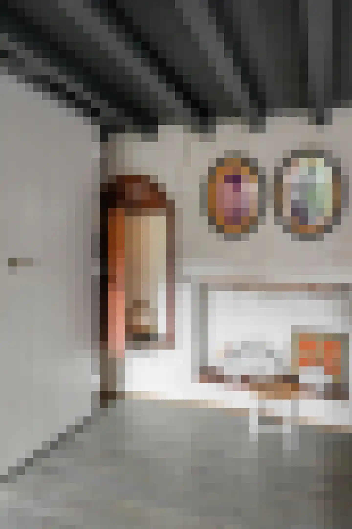Postelstraat 46 's-Hertogenbosch thumbnail 55