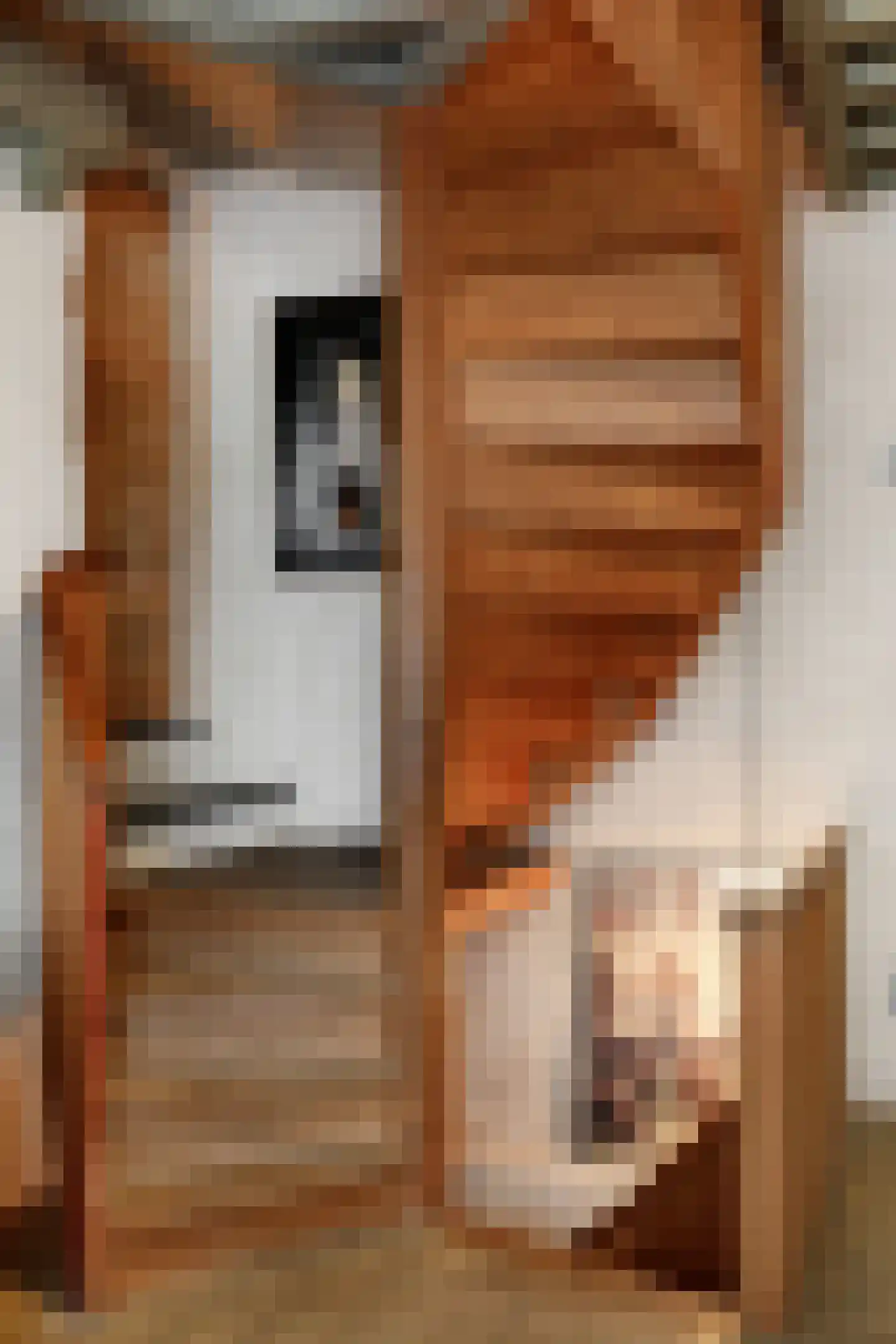 Postelstraat 46 's-Hertogenbosch thumbnail 62