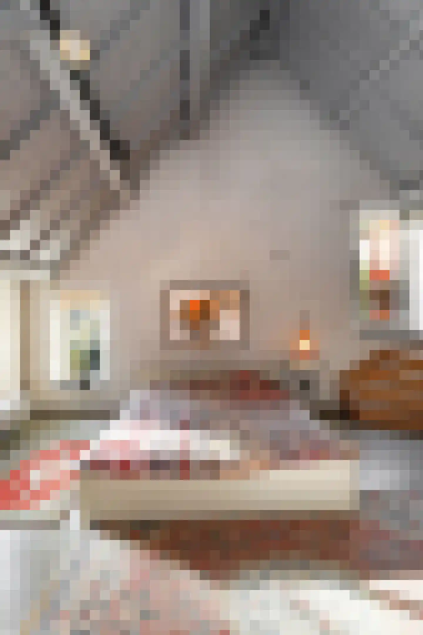 Postelstraat 46 's-Hertogenbosch thumbnail 65