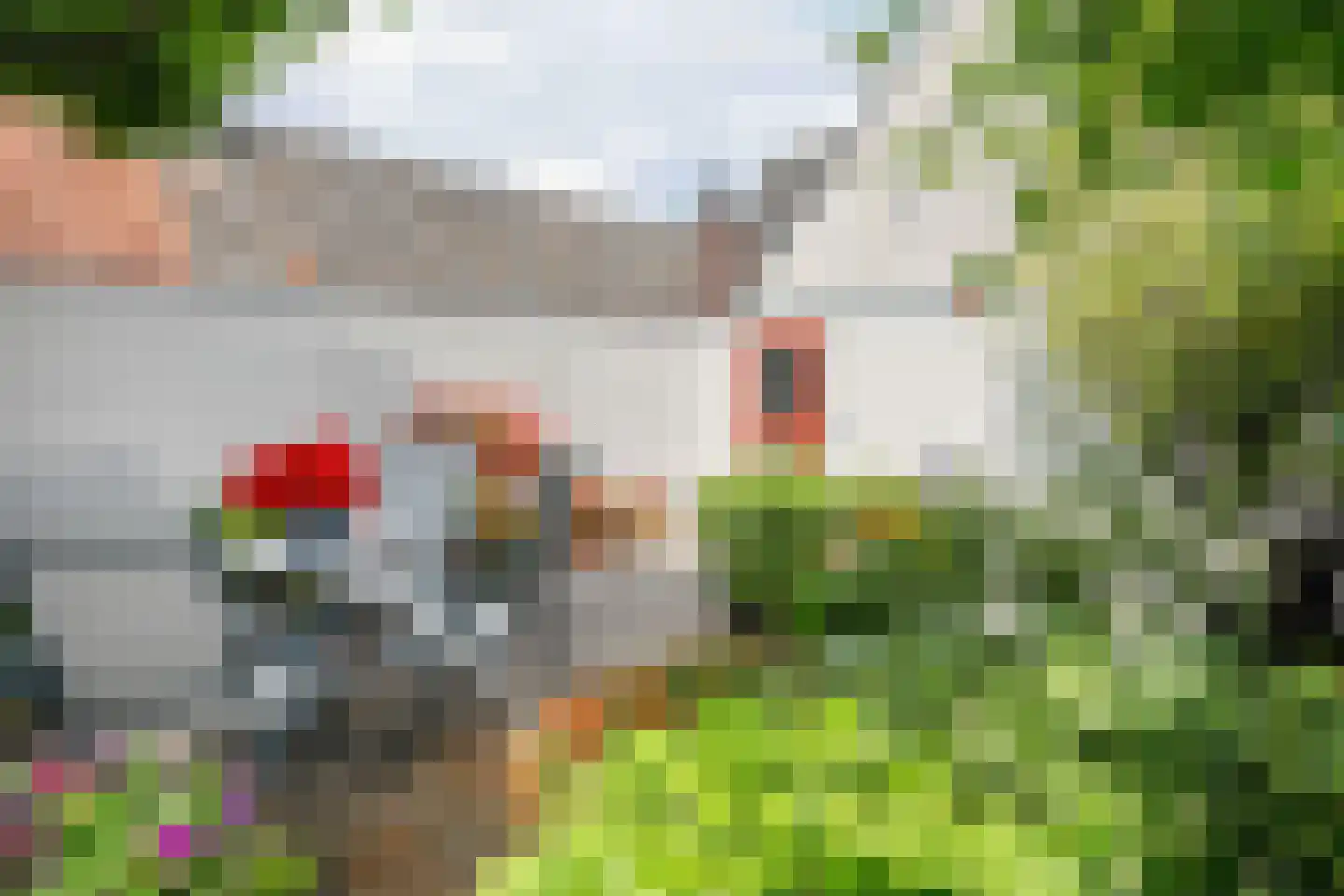 Postelstraat 46 's-Hertogenbosch thumbnail 66
