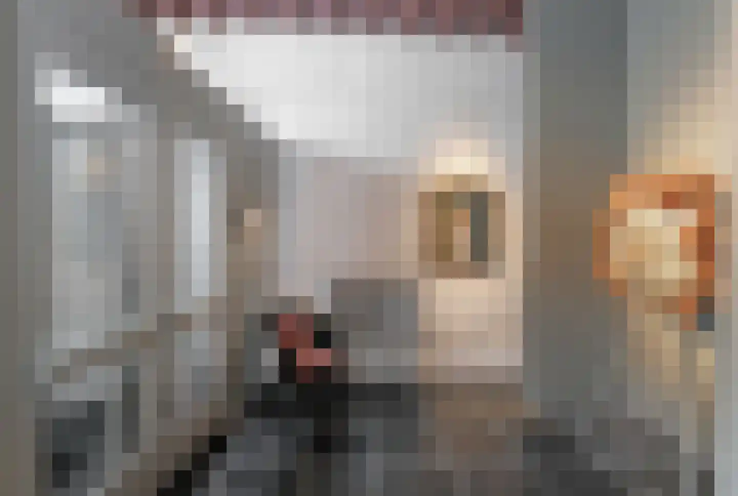 Postelstraat 46 's-Hertogenbosch thumbnail 7
