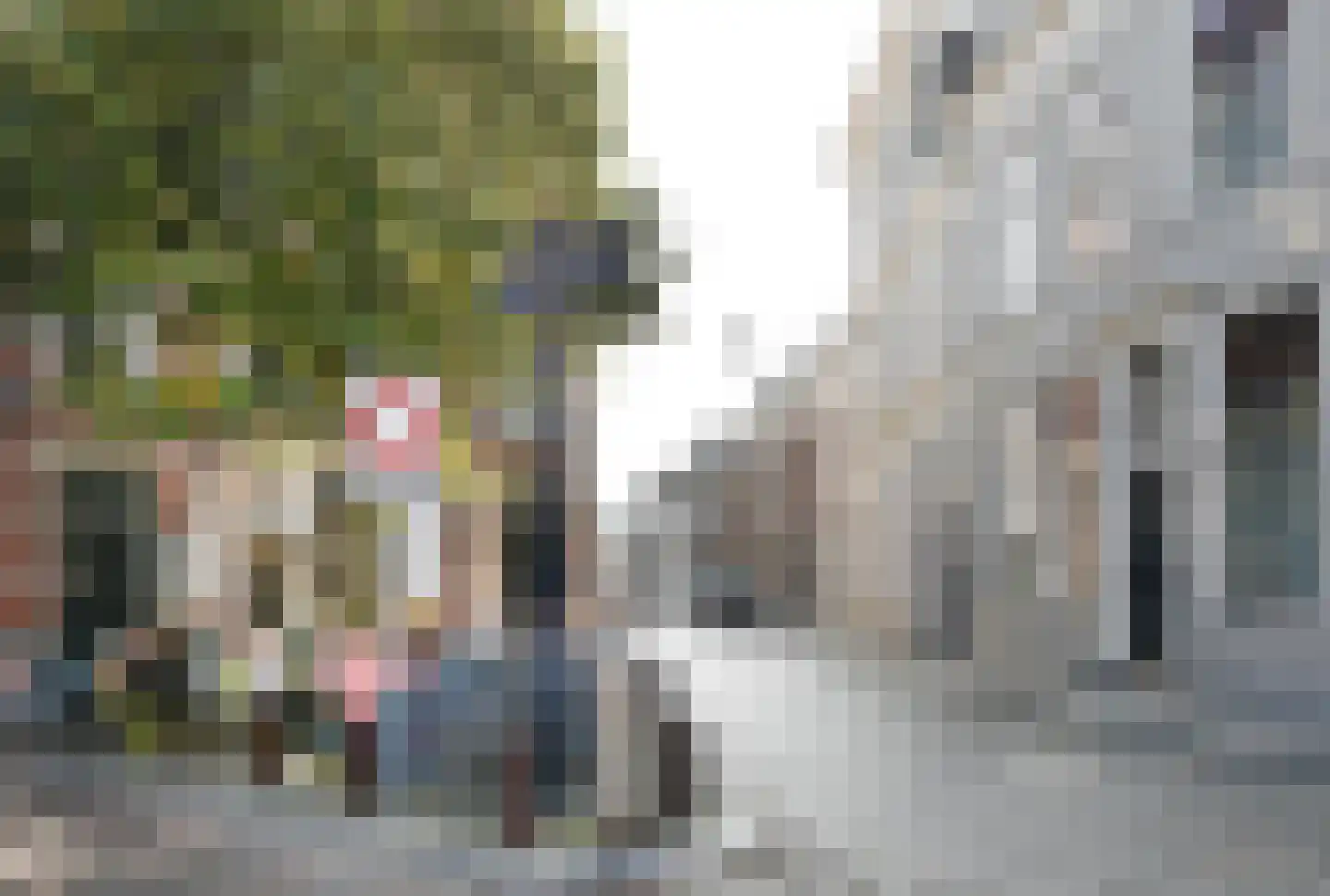 Postelstraat 46 's-Hertogenbosch thumbnail 96