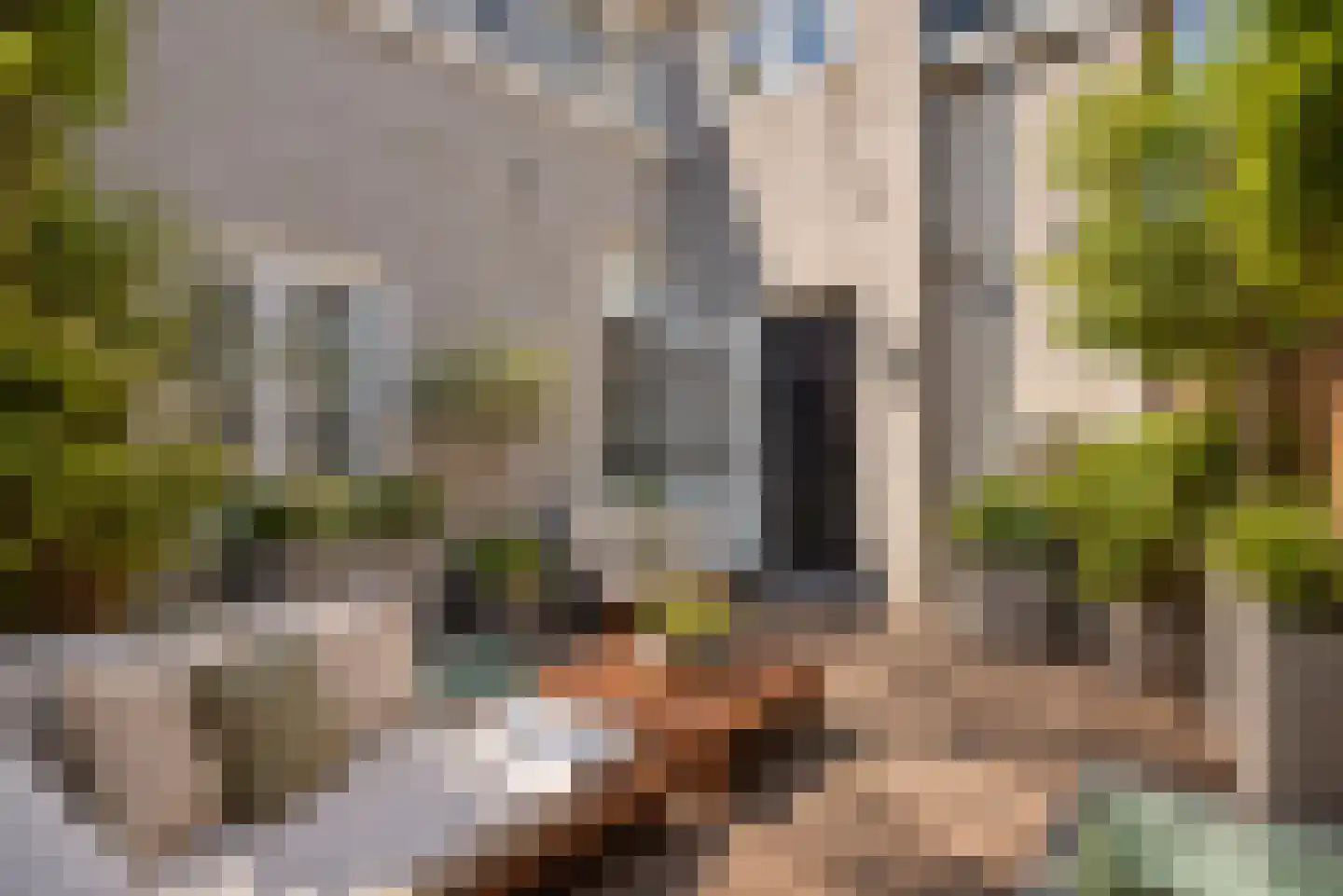 Postelstraat 59 's-Hertogenbosch thumbnail 46