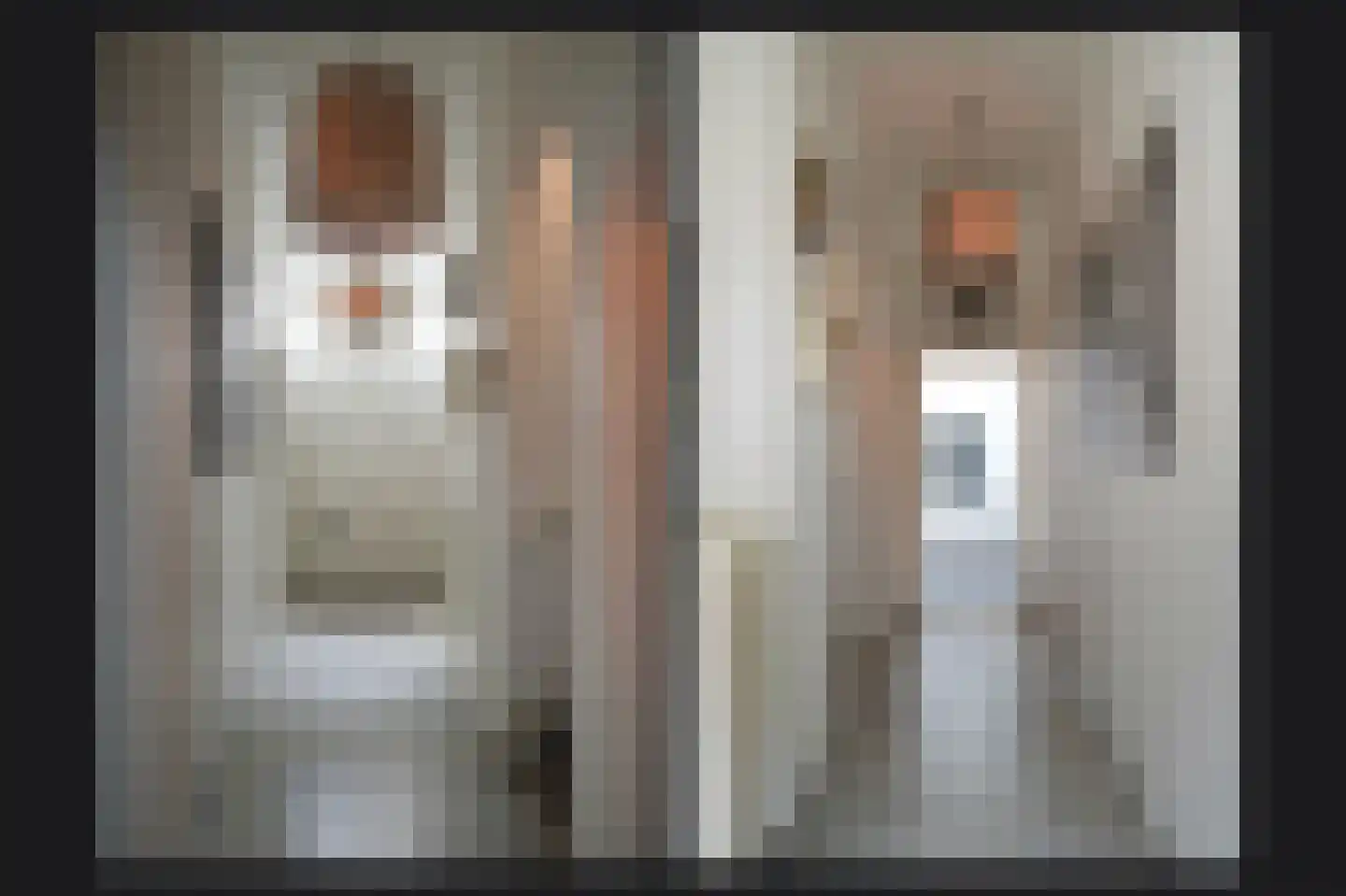 Postelstraat 59 's-Hertogenbosch thumbnail 8