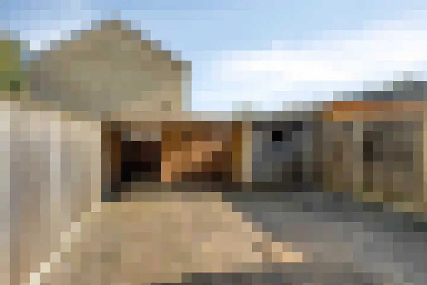 Postenbrink 40 Enschede thumbnail 4