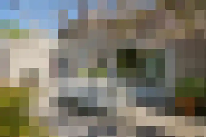 Posterholtlaan 21 Susteren thumbnail 20