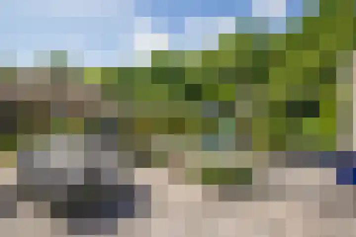 Posterholtlaan 21 Susteren thumbnail 21