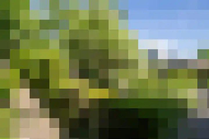 Posterholtlaan 21 Susteren thumbnail 22