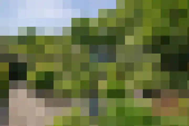 Posterholtlaan 21 Susteren thumbnail 23