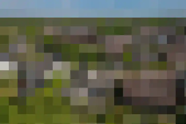 Posterholtlaan 21 Susteren thumbnail 25