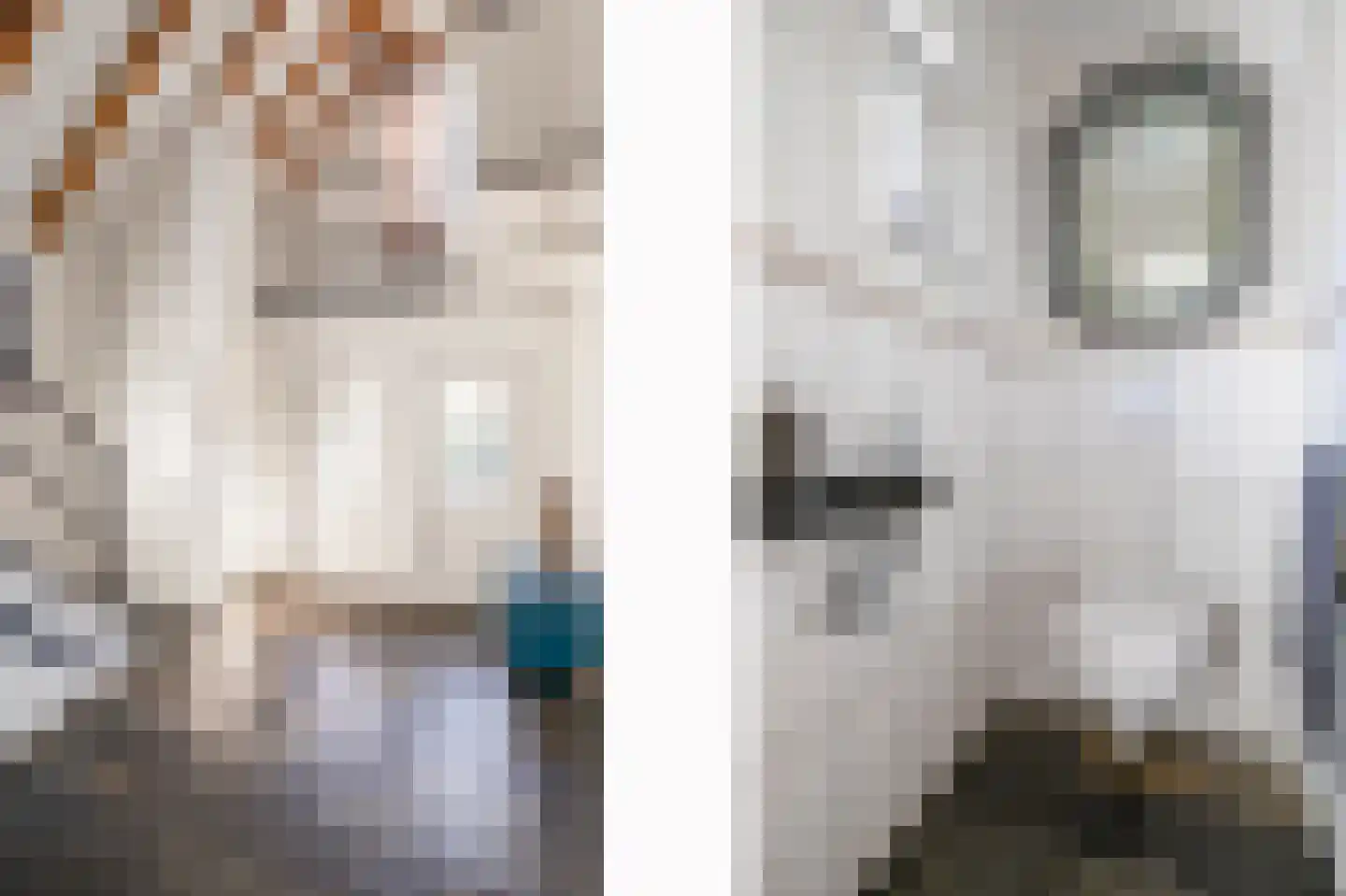Posterholtlaan 5 Susteren thumbnail 11