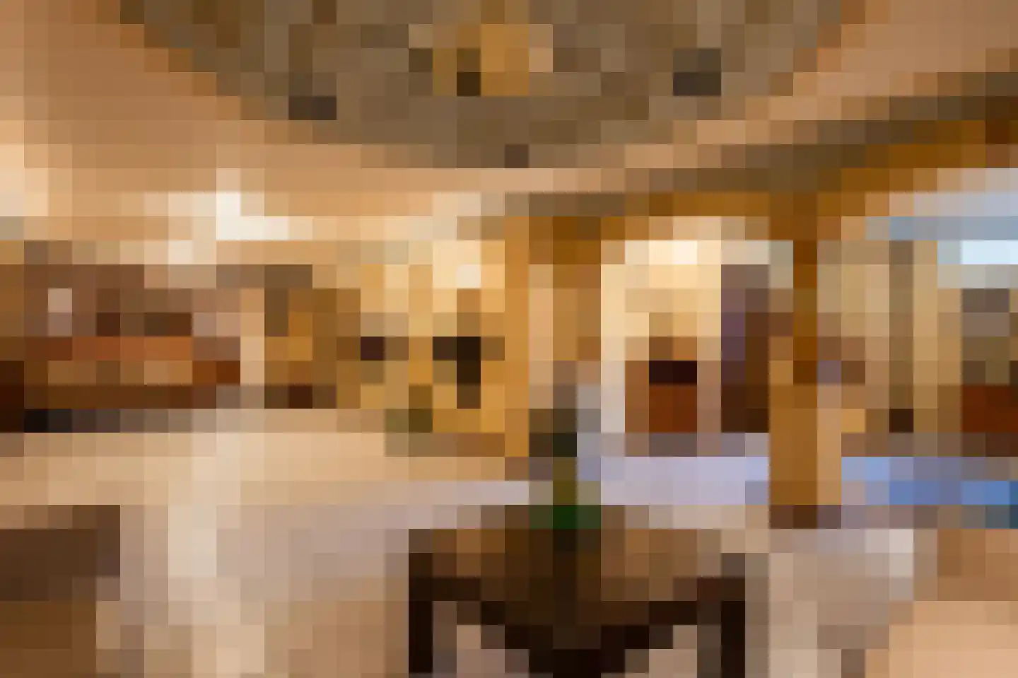 Posterholtlaan 5 Susteren thumbnail 22