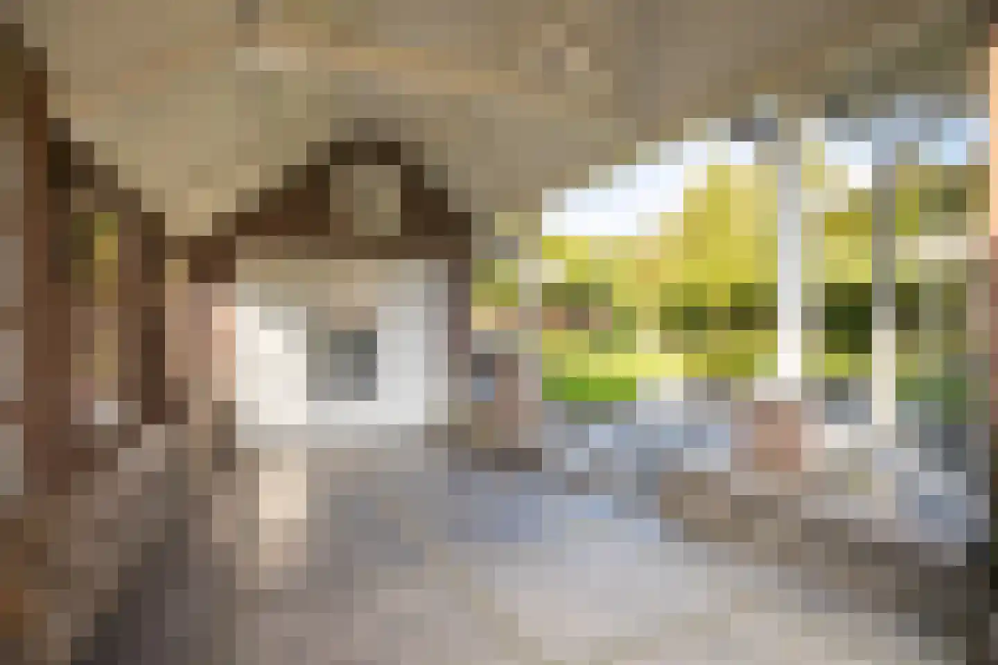 Posterholtlaan 5 Susteren thumbnail 23