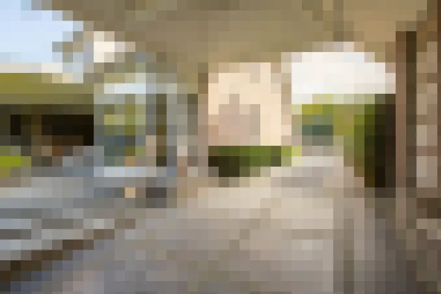 Posterholtlaan 5 Susteren thumbnail 24
