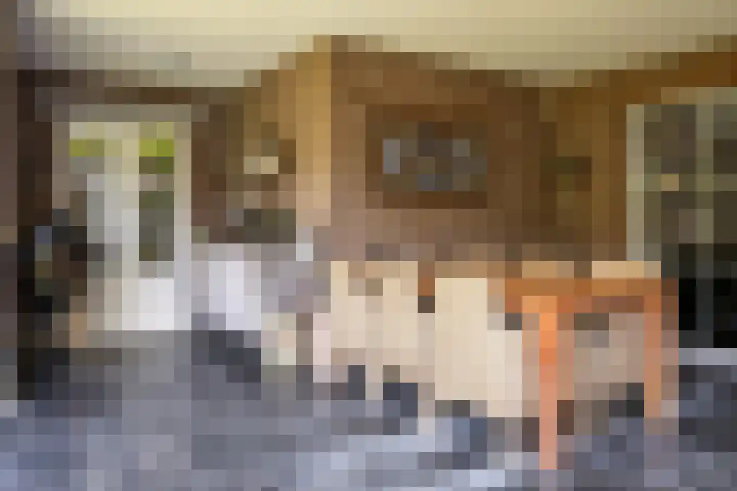 Posterholtlaan 5 Susteren thumbnail 25