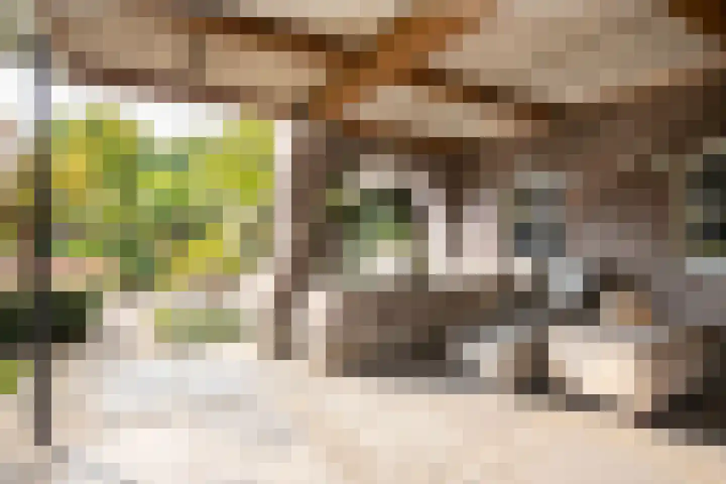 Posterholtlaan 5 Susteren thumbnail 28
