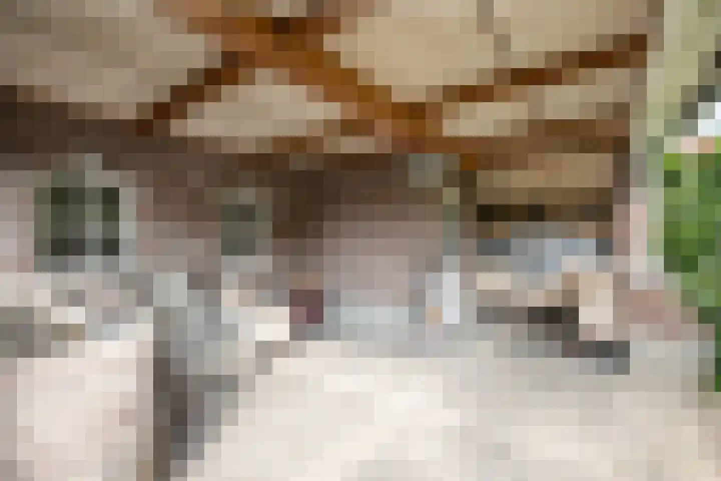 Posterholtlaan 5 Susteren thumbnail 29