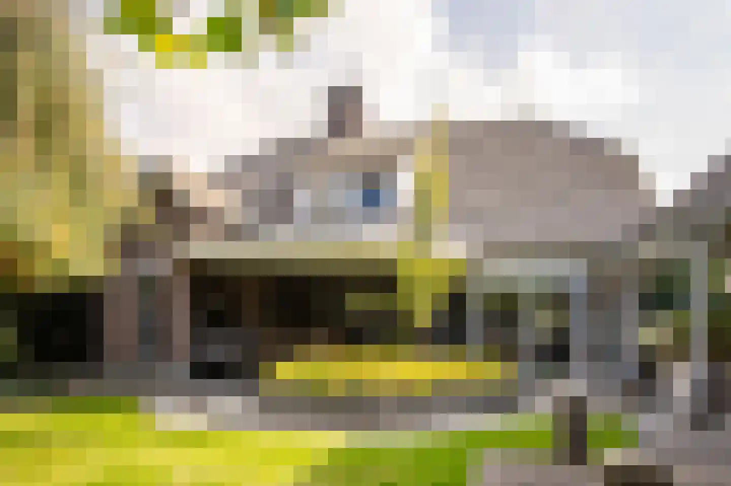 Posterholtlaan 5 Susteren thumbnail 30