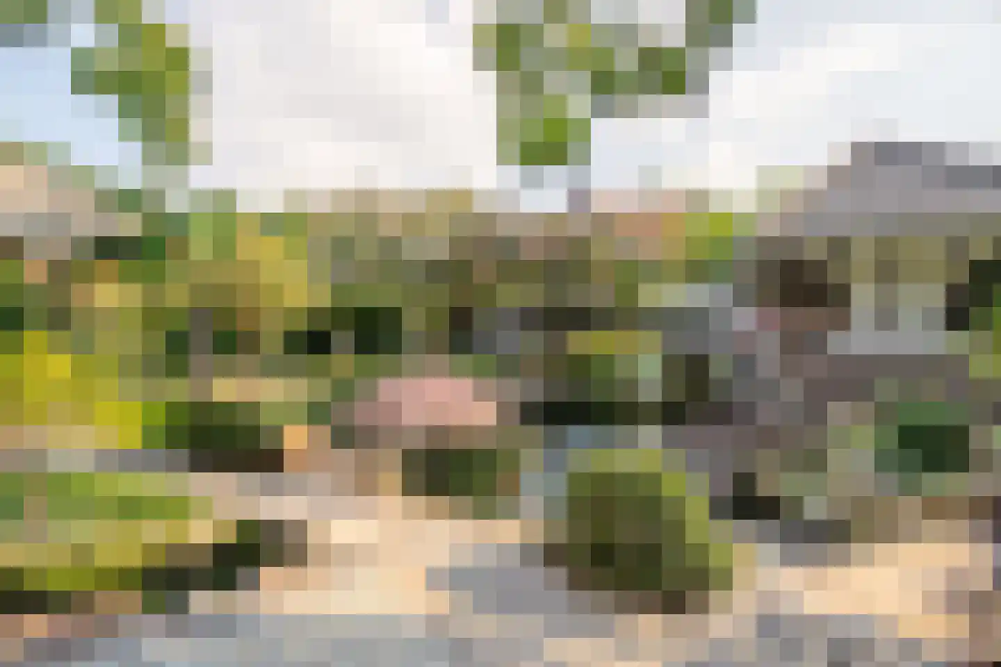 Posterholtlaan 5 Susteren thumbnail 32