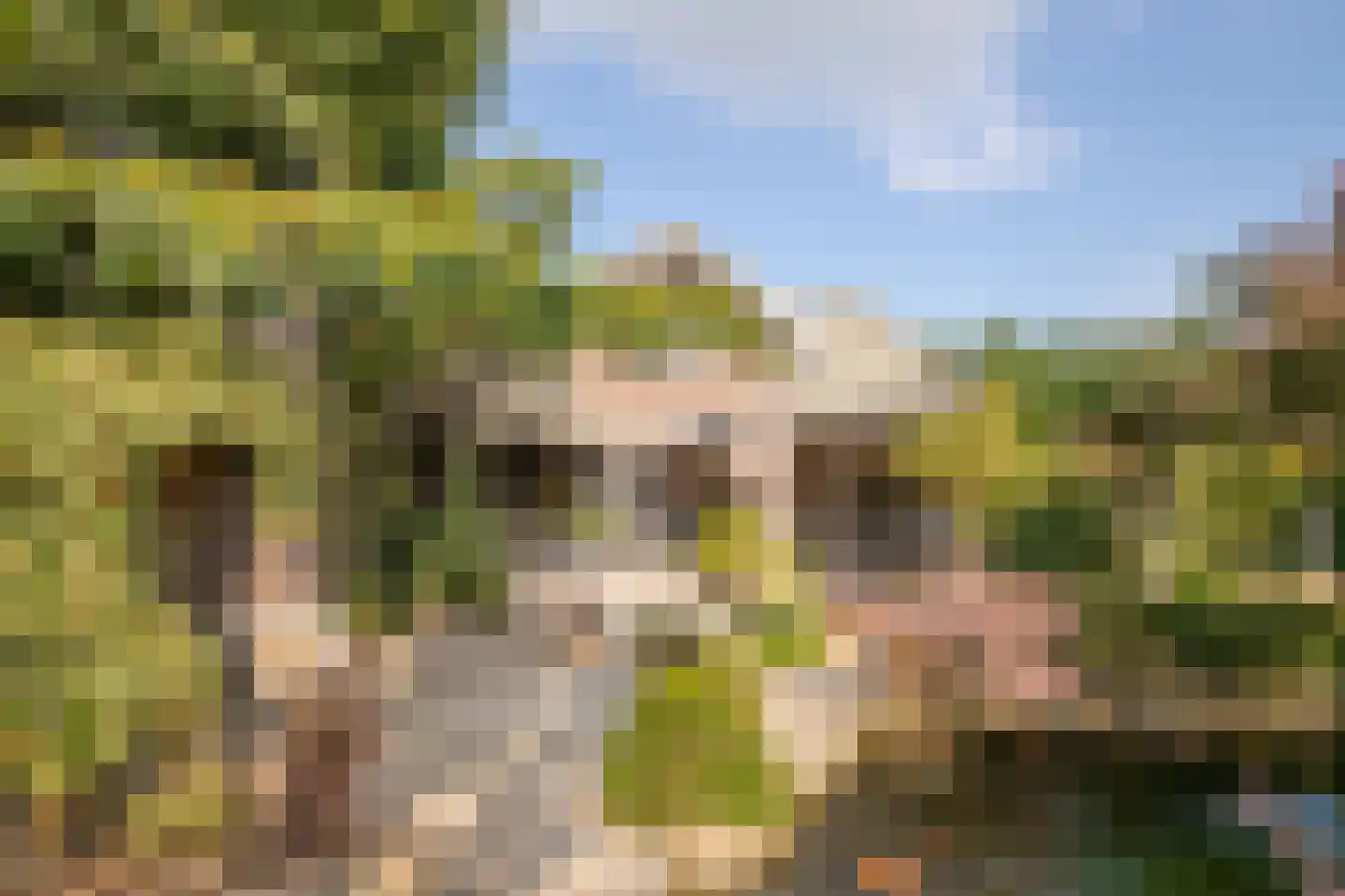 Posterholtlaan 5 Susteren thumbnail 33