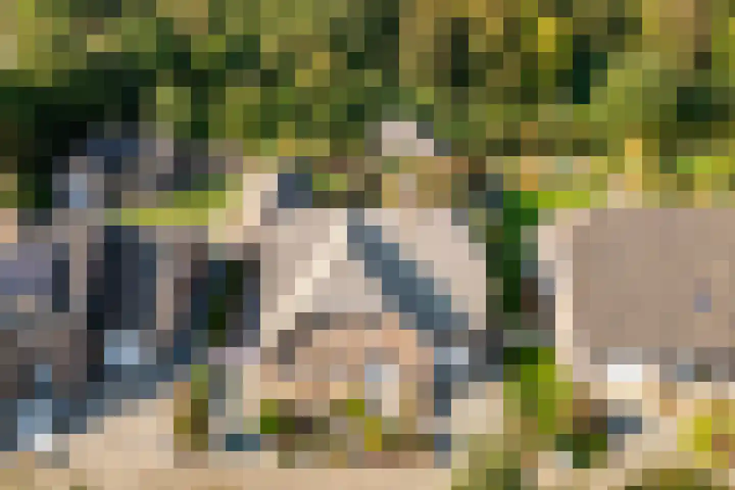 Posterholtlaan 5 Susteren thumbnail 34