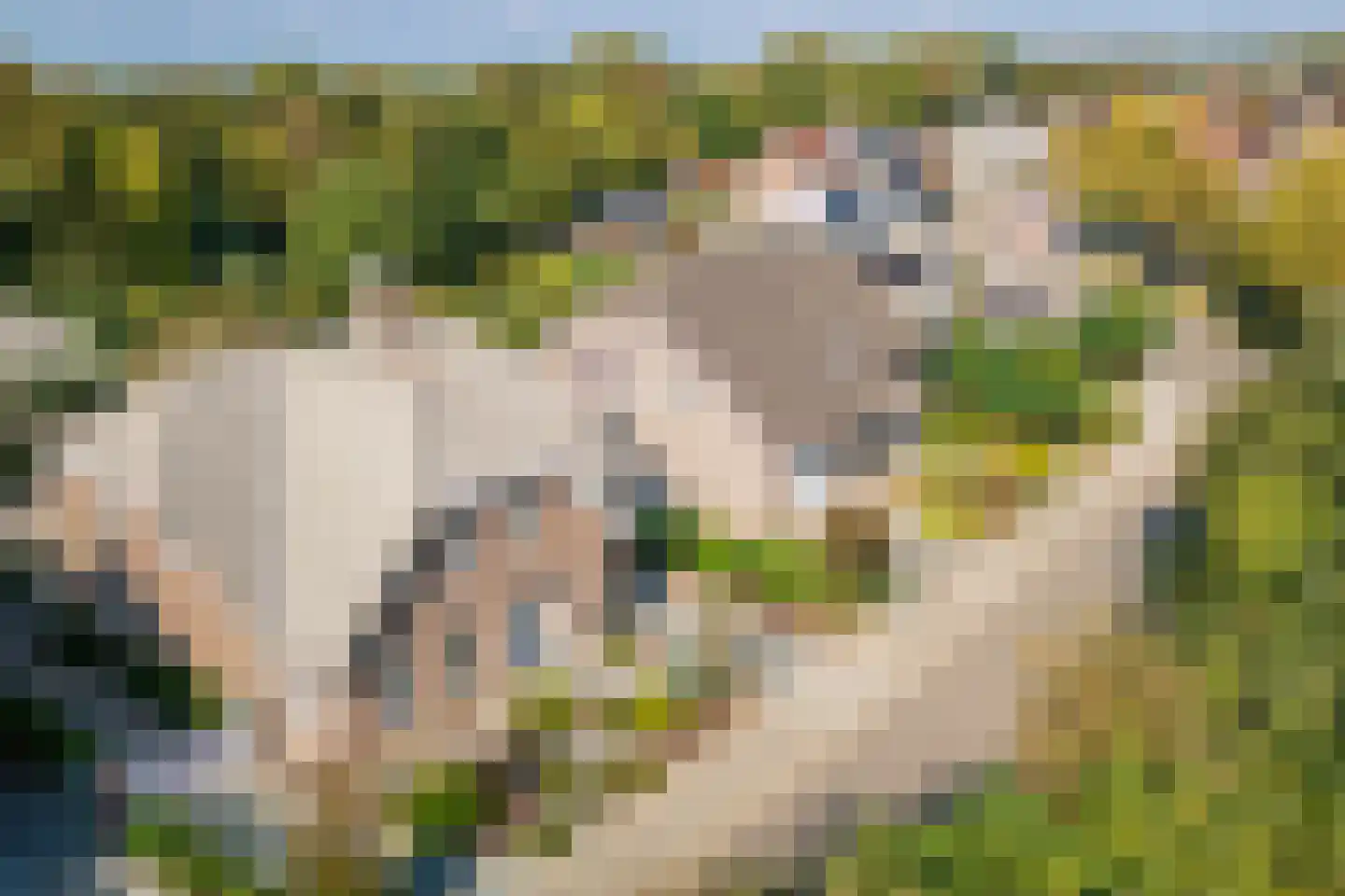 Posterholtlaan 5 Susteren thumbnail 35