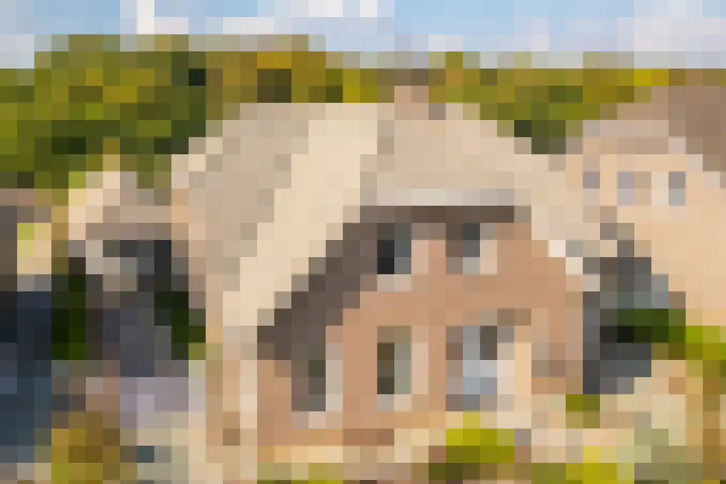 Posterholtlaan 5 Susteren thumbnail 36