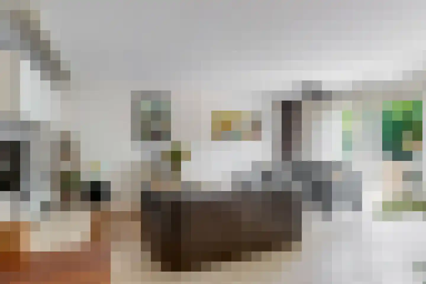 Postgalei 21 Wognum thumbnail 13