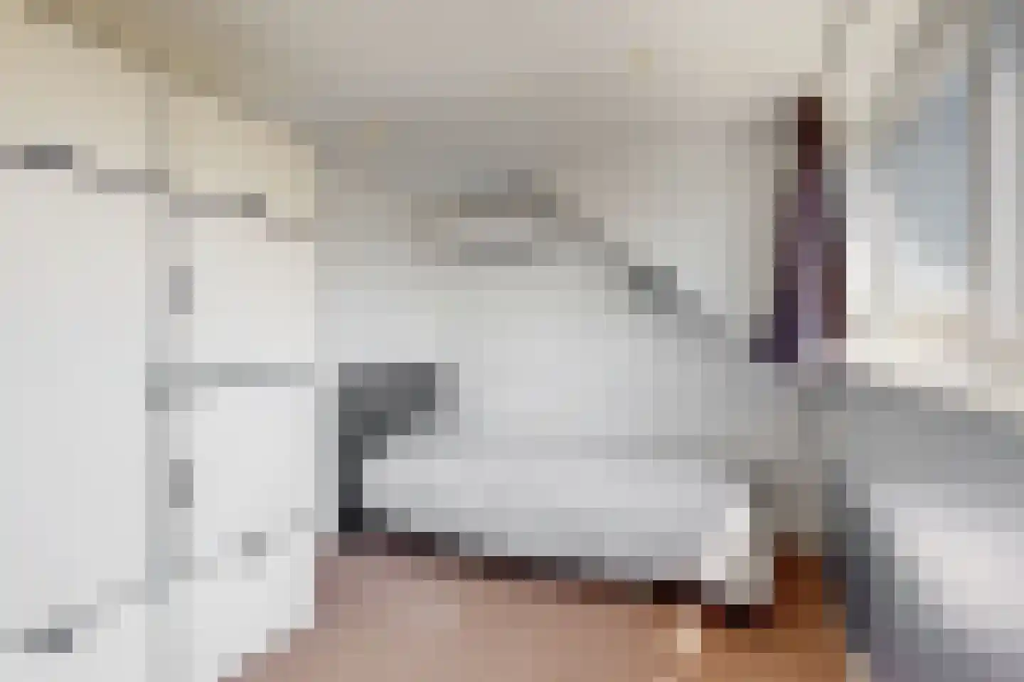 Postgalei 21 Wognum thumbnail 26