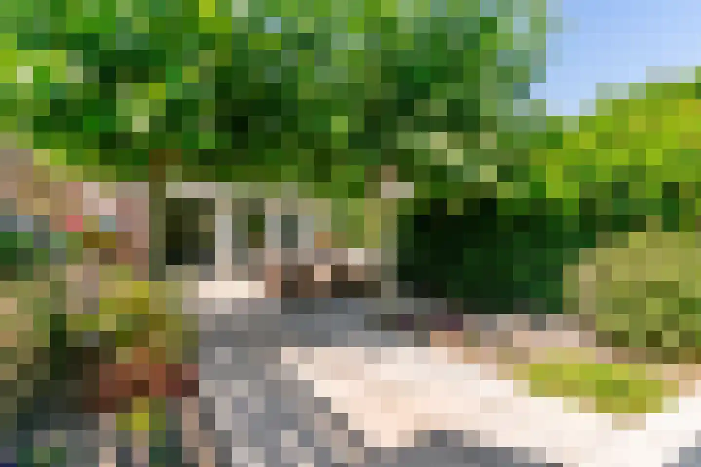 Postgalei 21 Wognum thumbnail 29