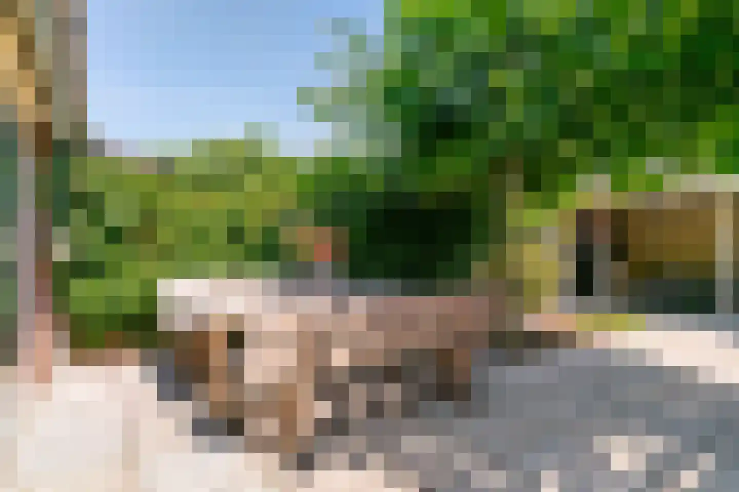 Postgalei 21 Wognum thumbnail 30