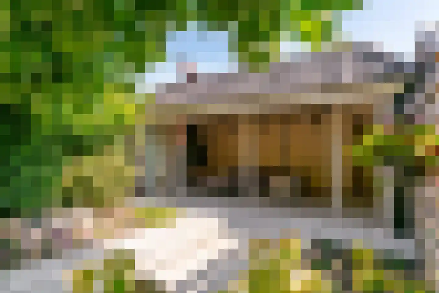 Postgalei 21 Wognum thumbnail 31
